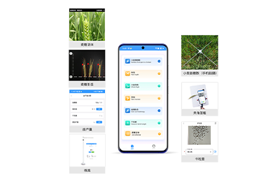 赣州市小麦表型检测仪IN-XM04